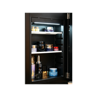 GadgetOn – Thermoelectric Cosmetic Fridge 9.7L Fridge – 9.7L
